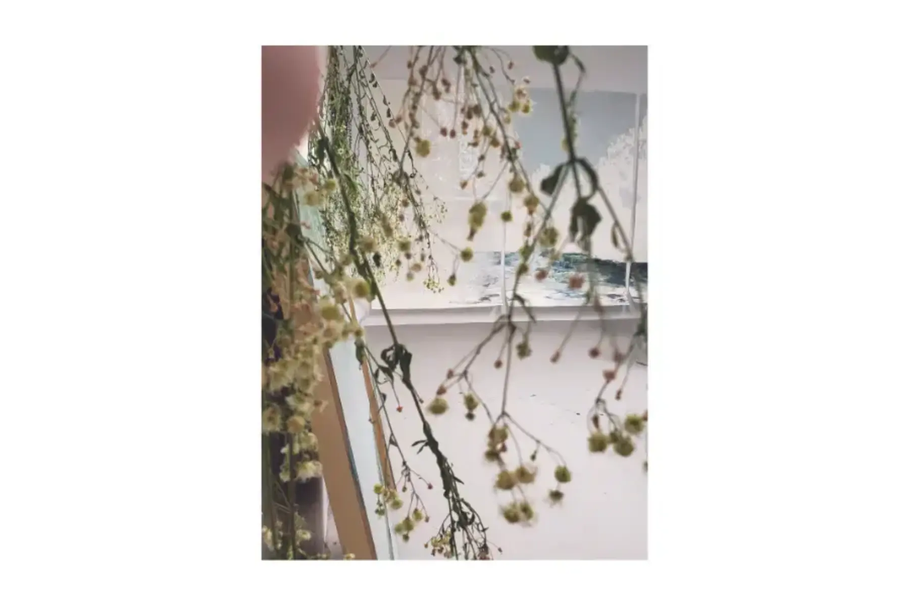 White background with a centered photo of an oceanscape seen through close up yellow, white, and green flowers.