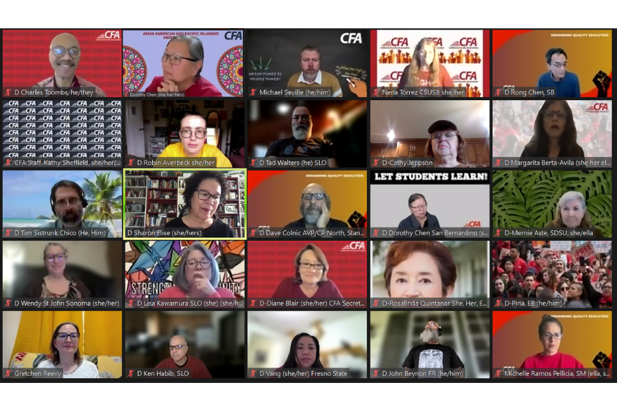 A screenshot of people on zoom.